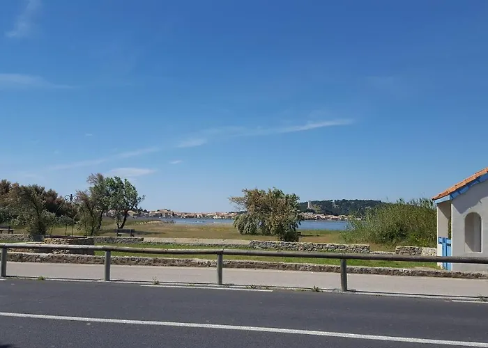 T2